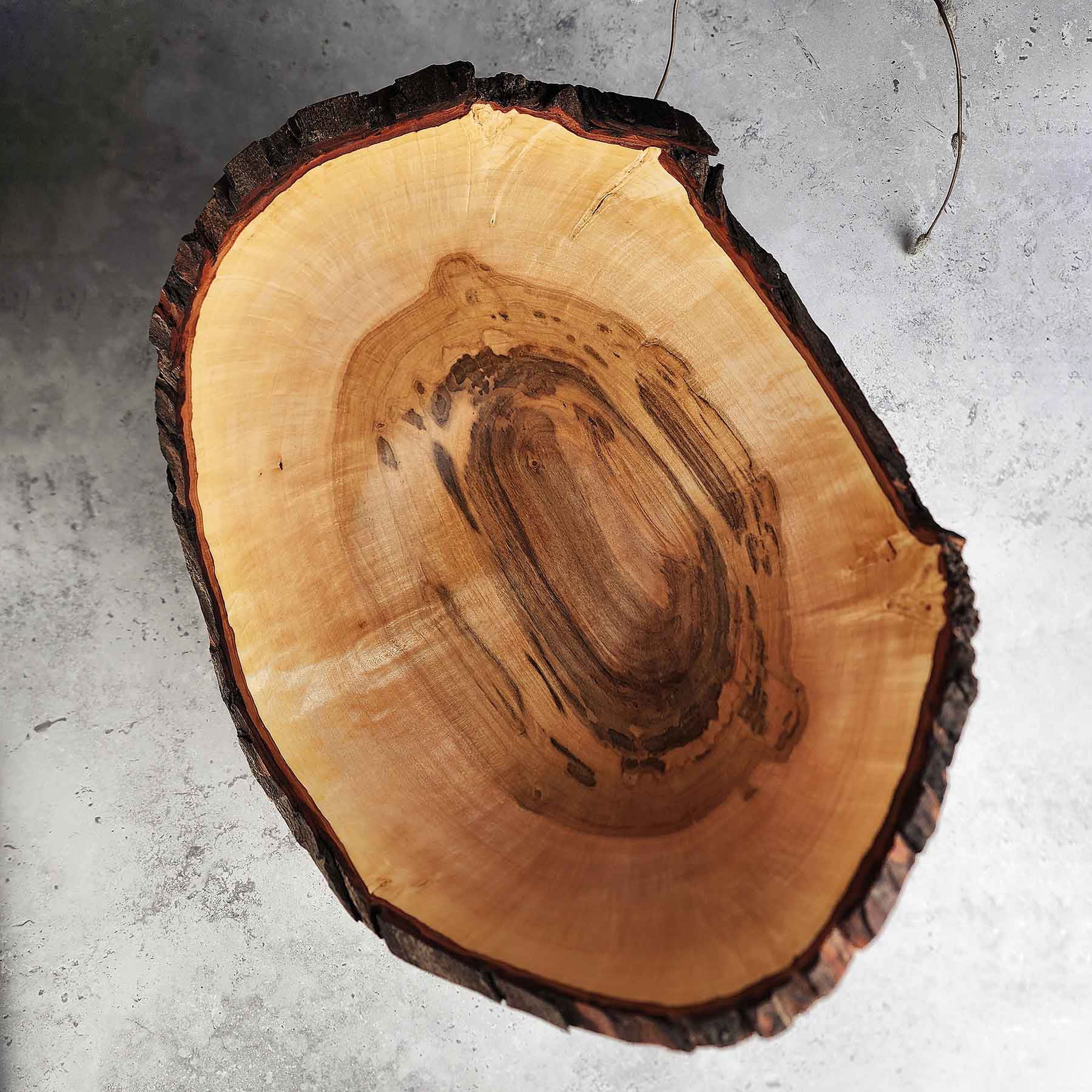 Maple 448