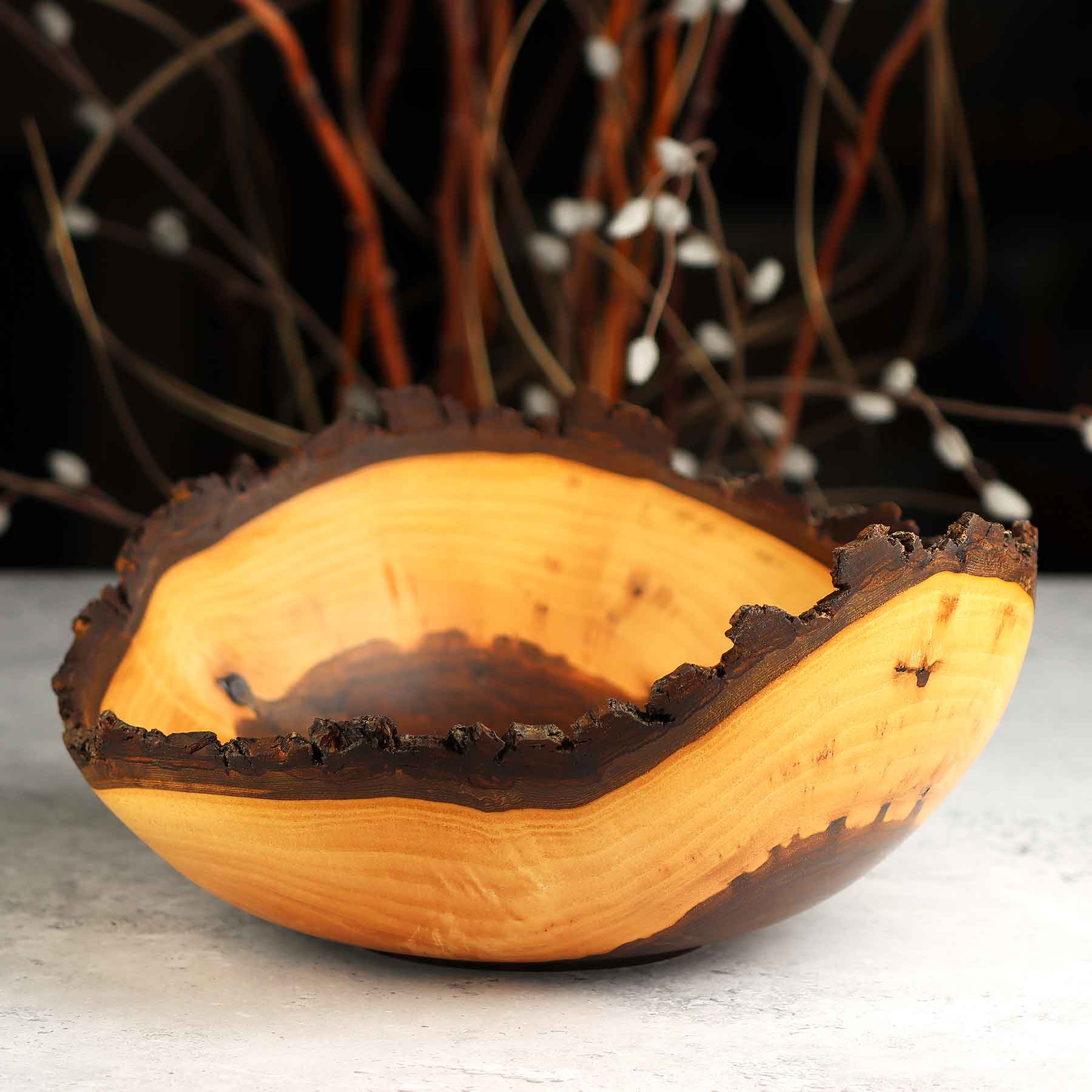 Walnut 459