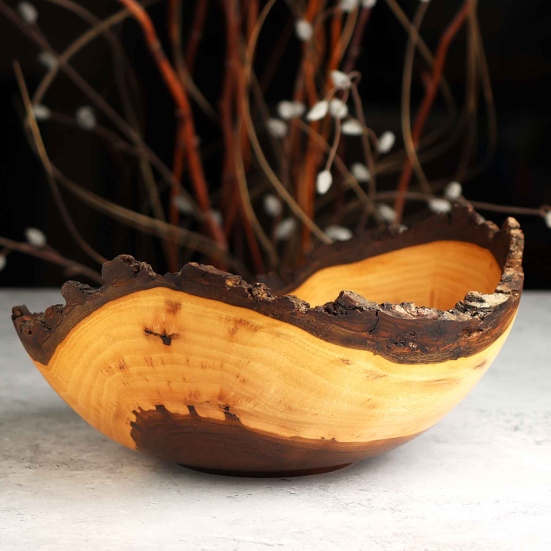 Walnut 459