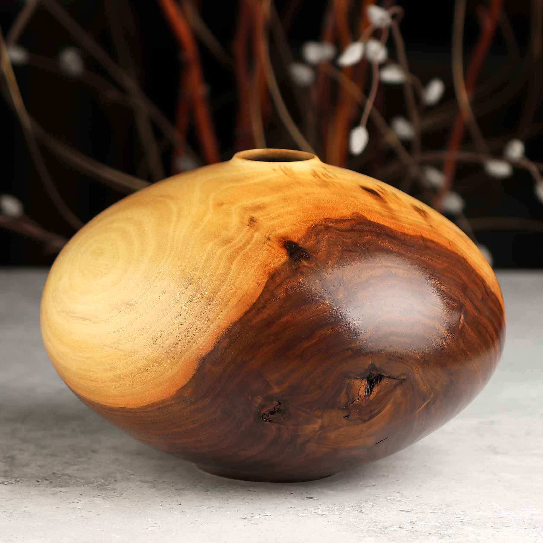 Walnut 484