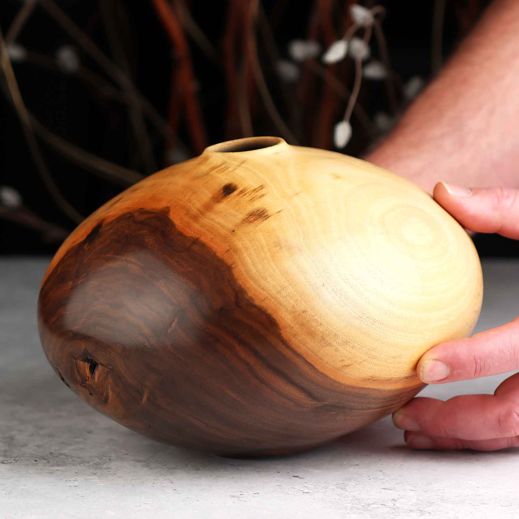 Walnut 484