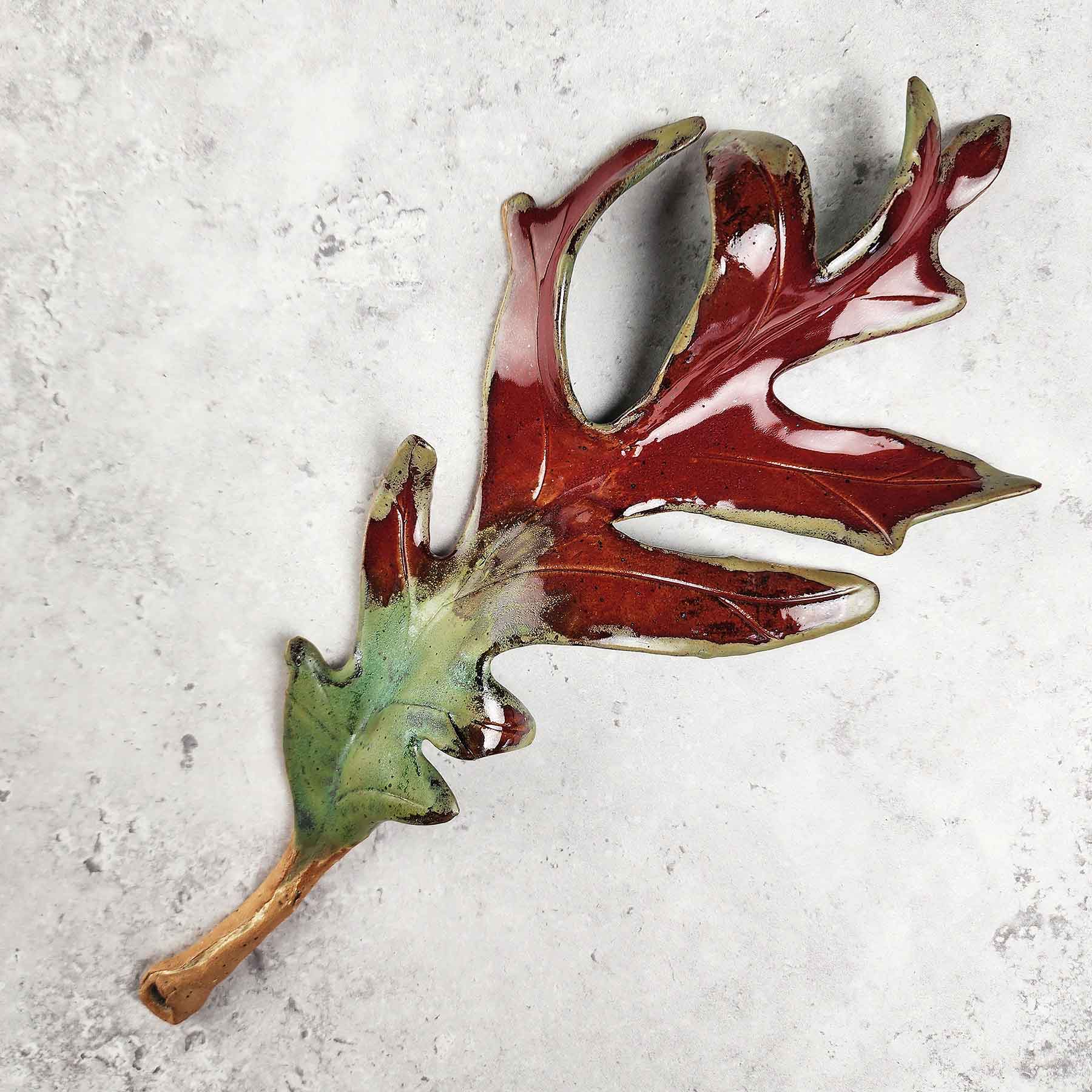 Turkey Foot Leaf