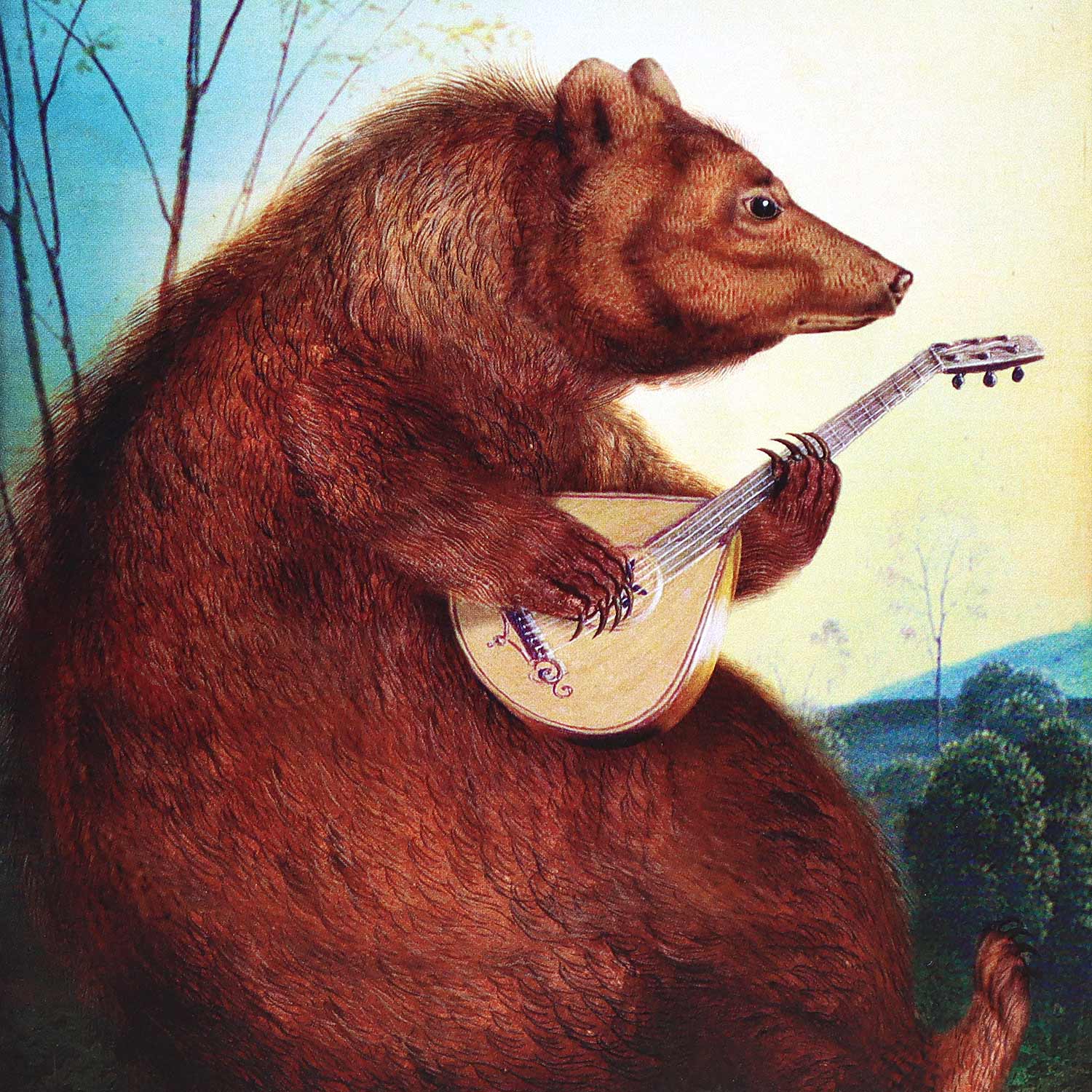 Mandolin Bear, 5X7