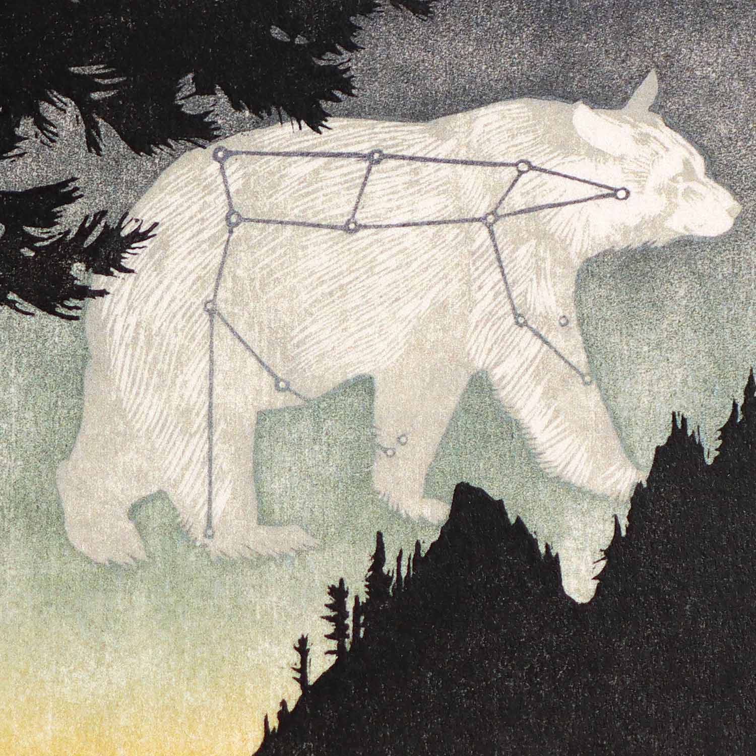 Ursa Walking, 5X7