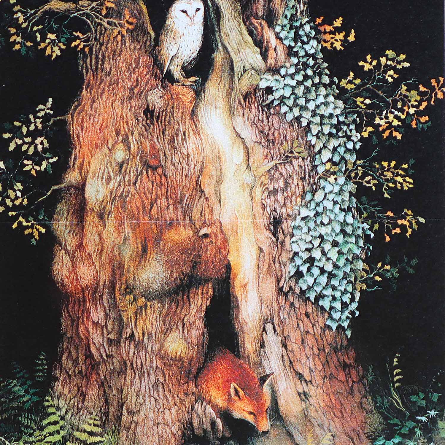 The Acorn's Story, 5X7