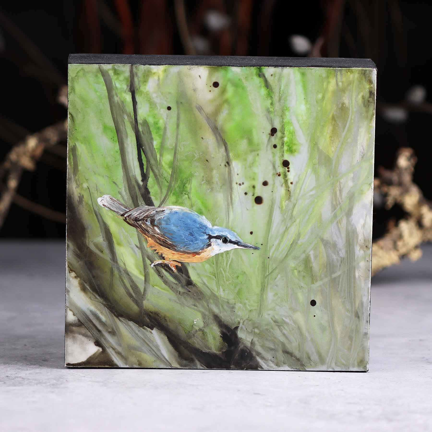 Nuthatch in Shrub, 6X6