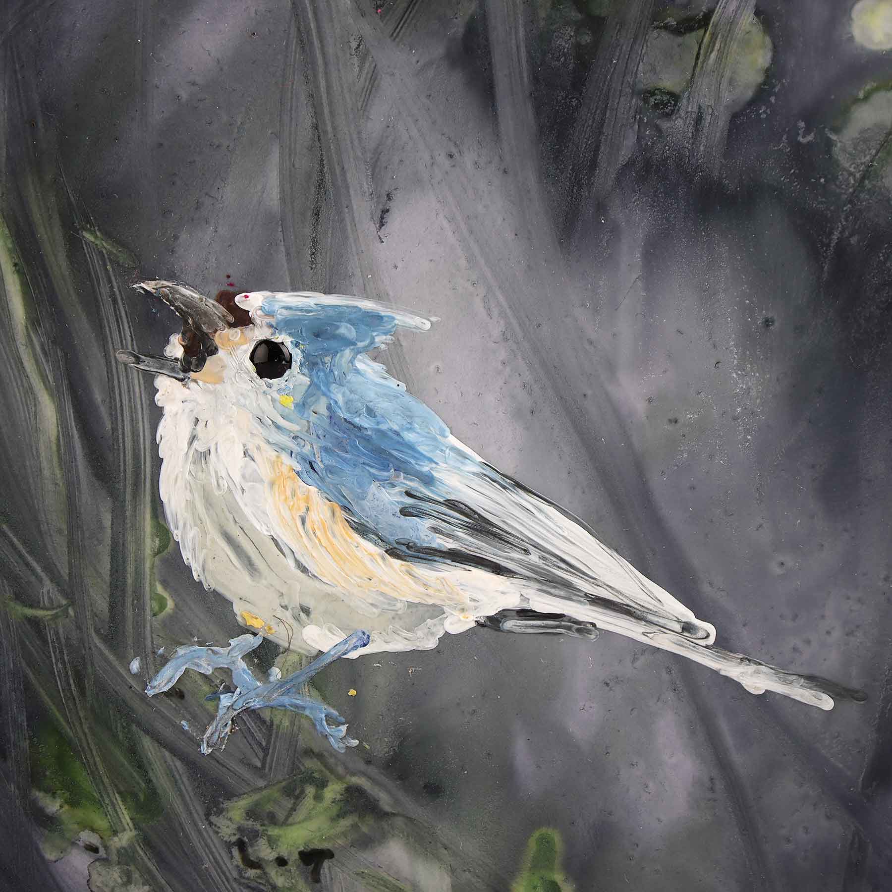 Titmouse, 6X6