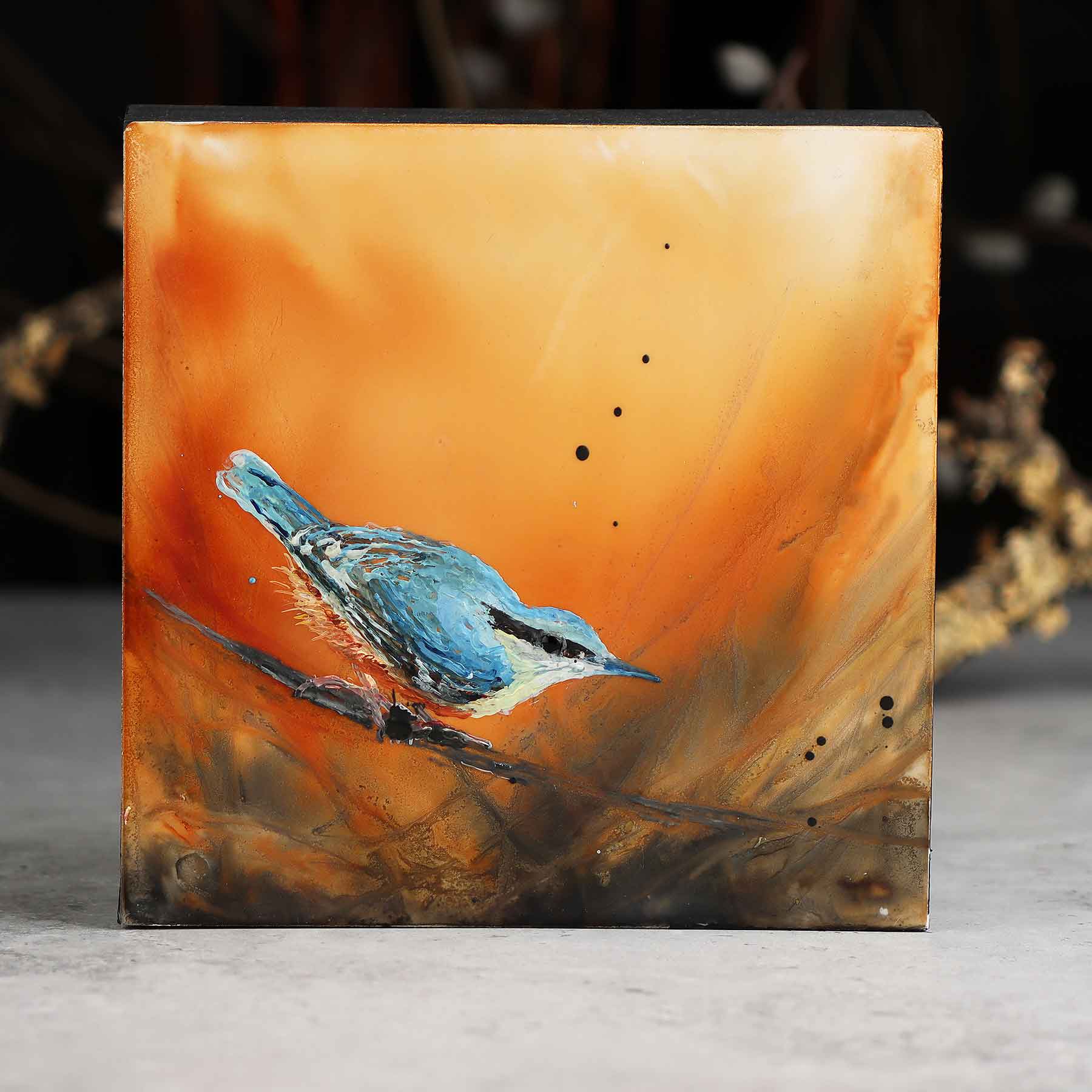 Nuthatch, 6X6