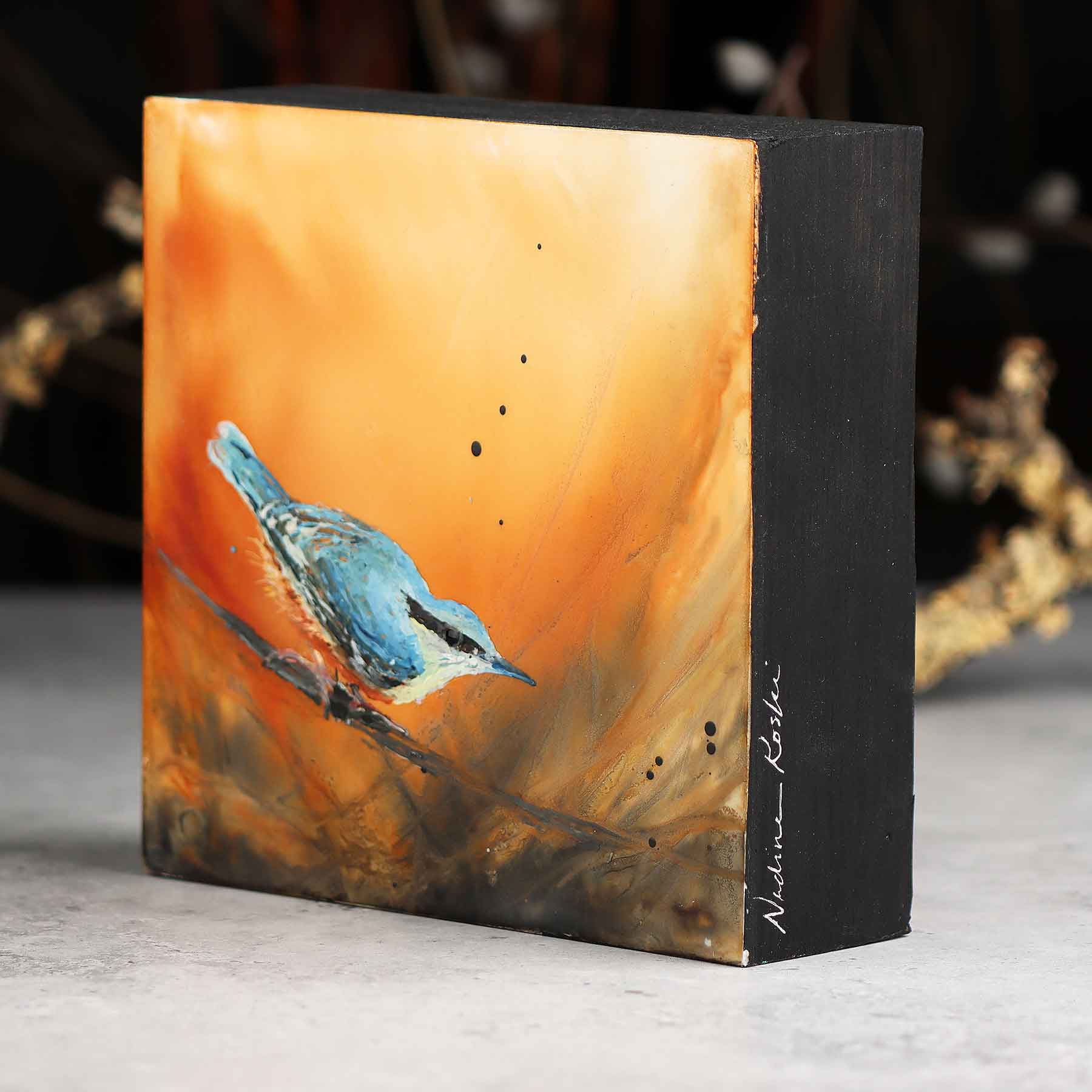 Nuthatch, 6X6