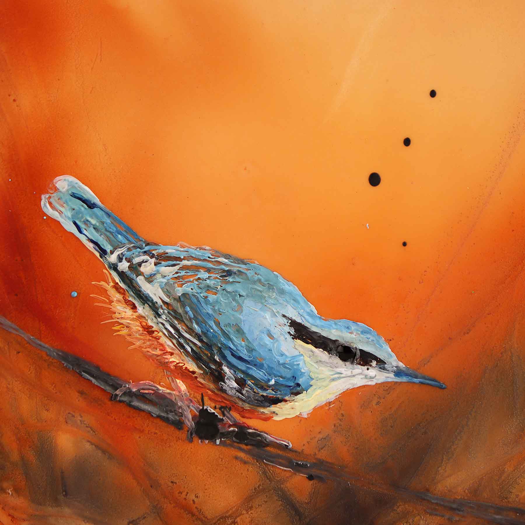Nuthatch, 6X6