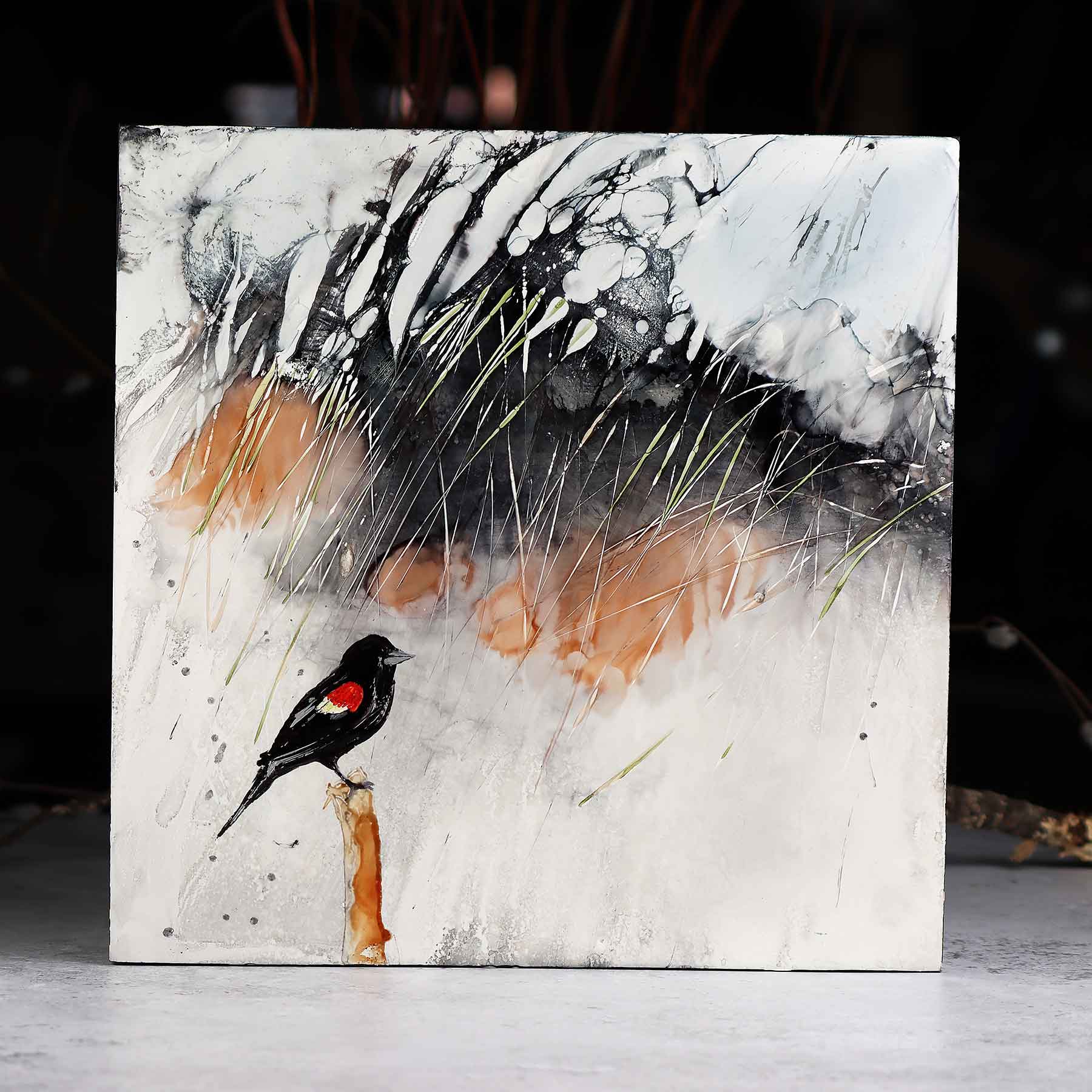 Red-winged Blackbird, 12X12
