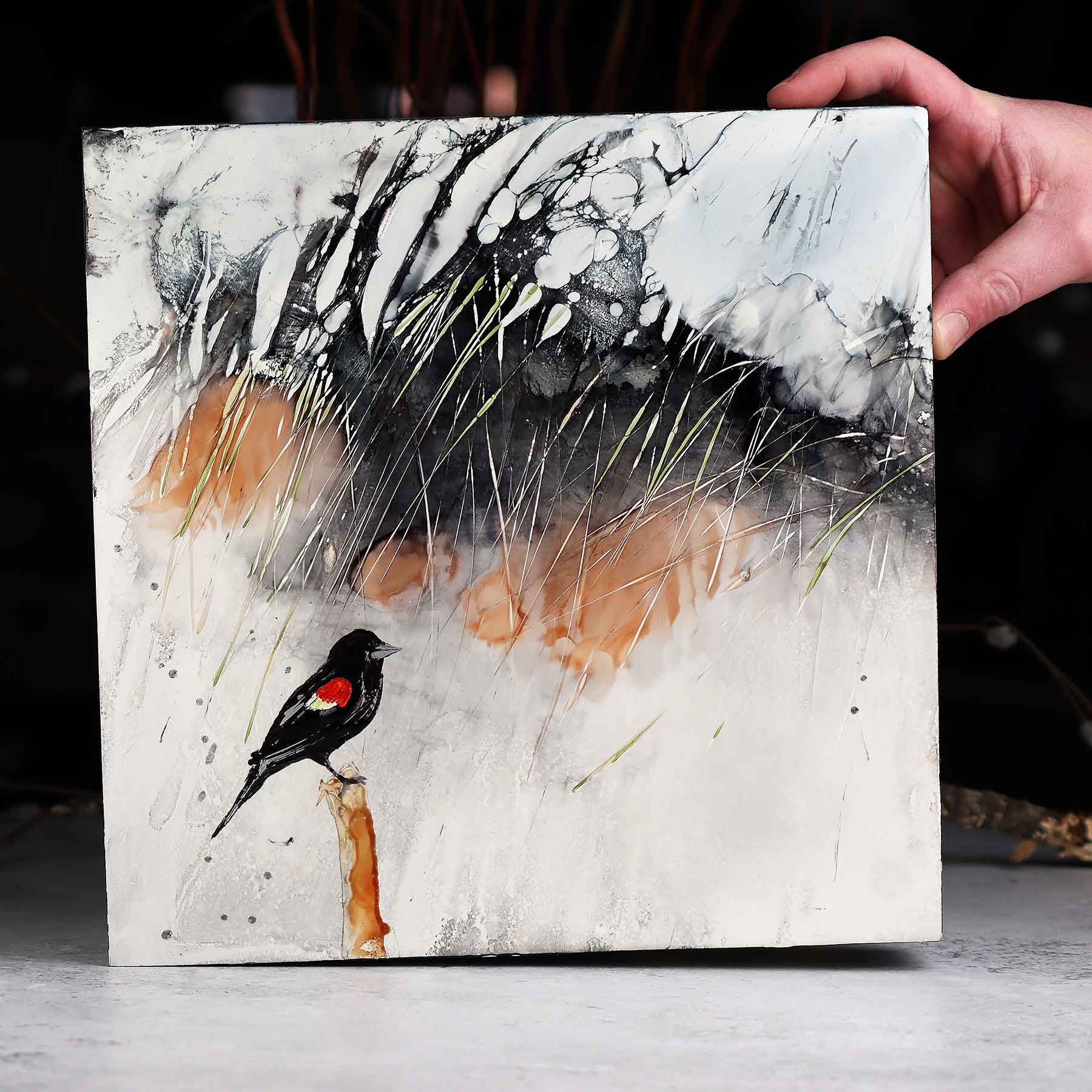 Red-winged Blackbird, 12X12