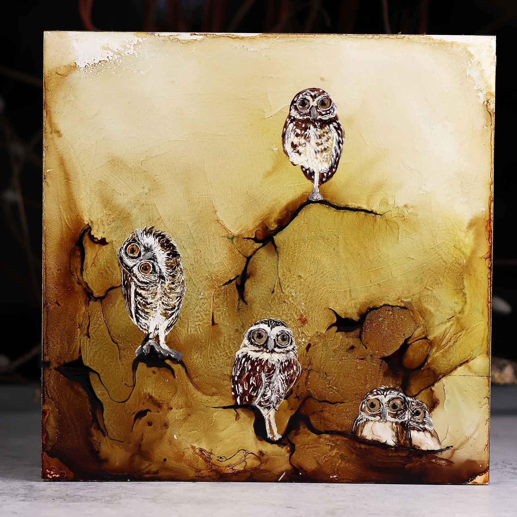 Five Owls, 10X10