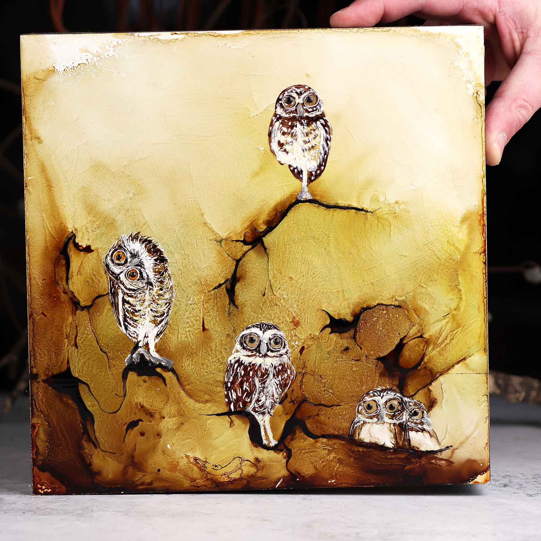 Five Owls, 10X10