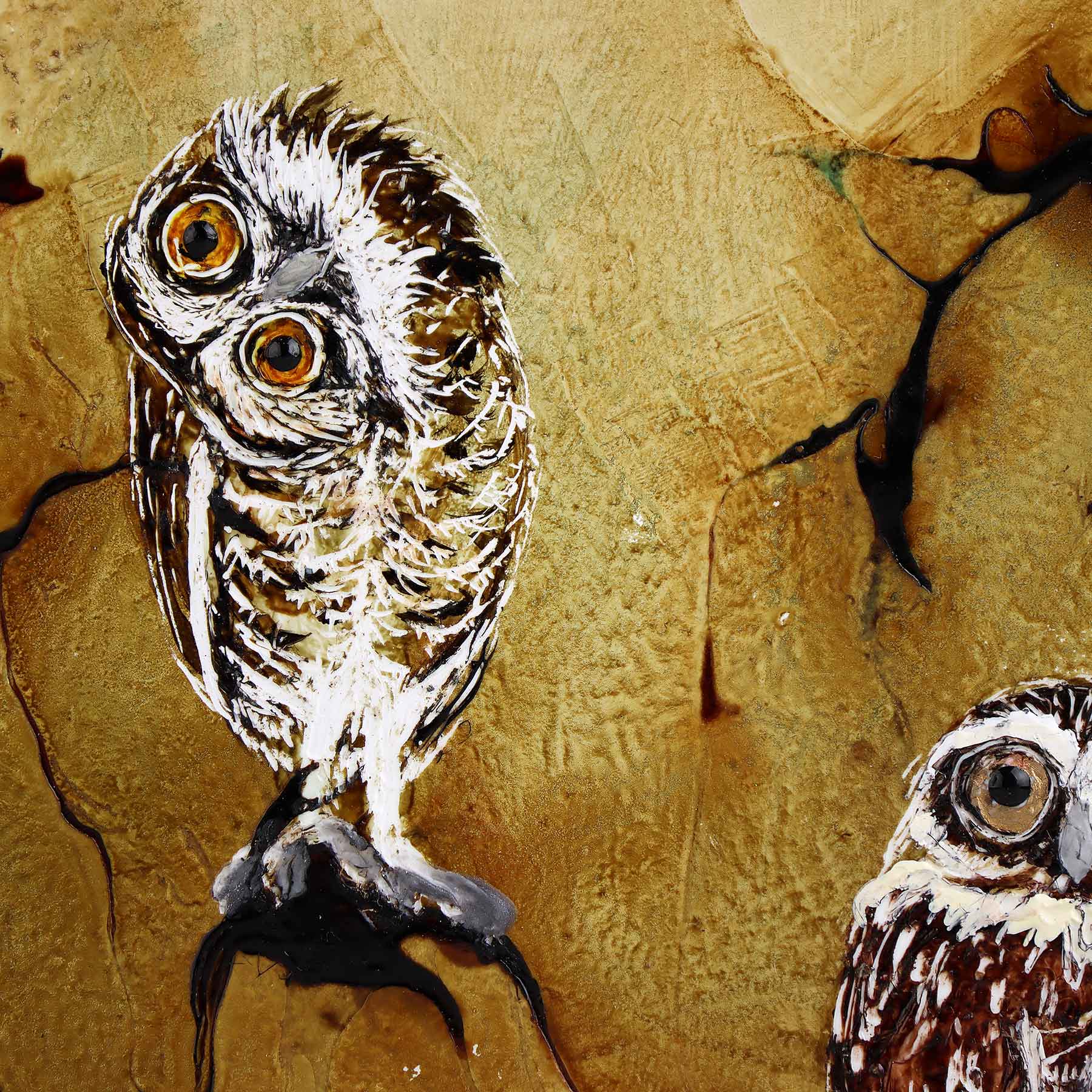Five Owls, 10X10