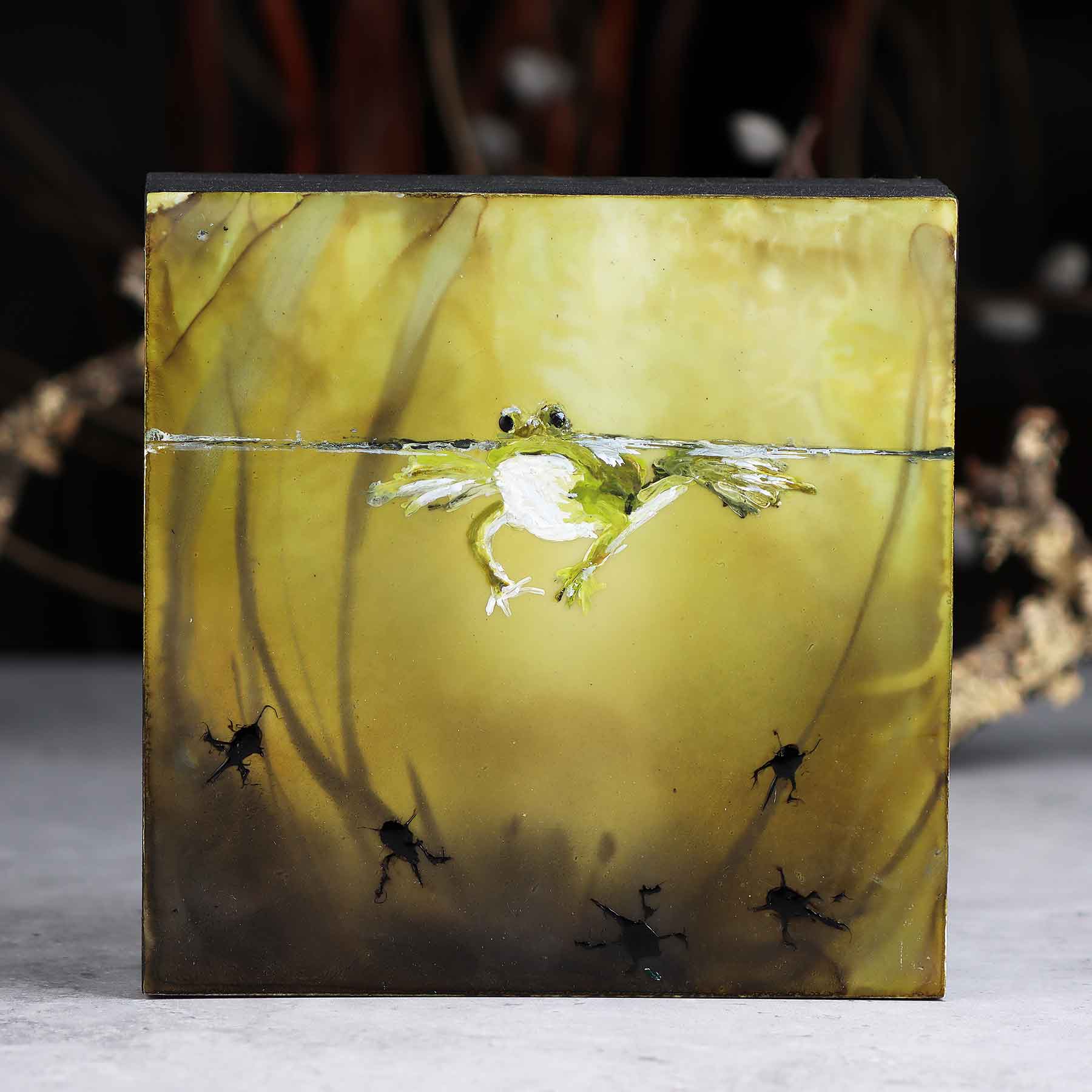 Floating Frog, 6X6