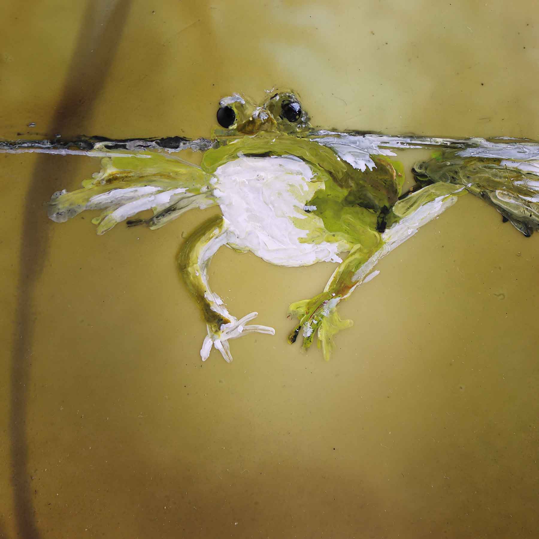 Floating Frog, 6X6