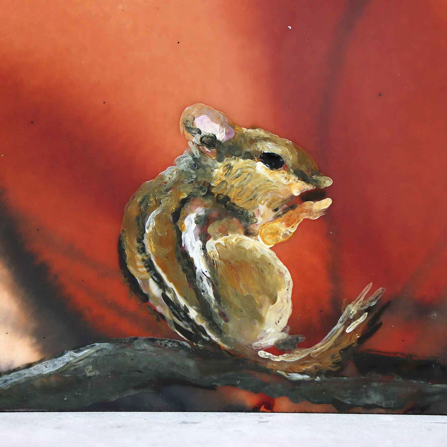 Hungry Chipmunk, 6X6