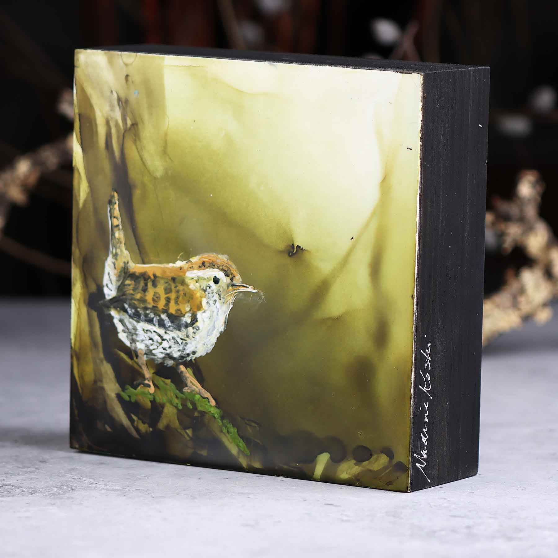 Carolina Wren, 6X6