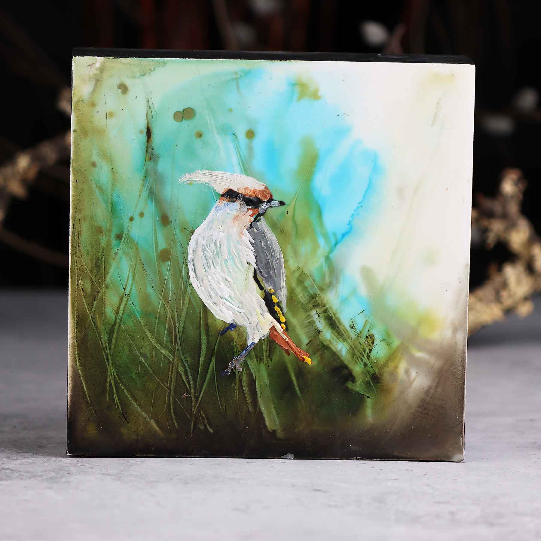 Cedar Waxwing, 6X6