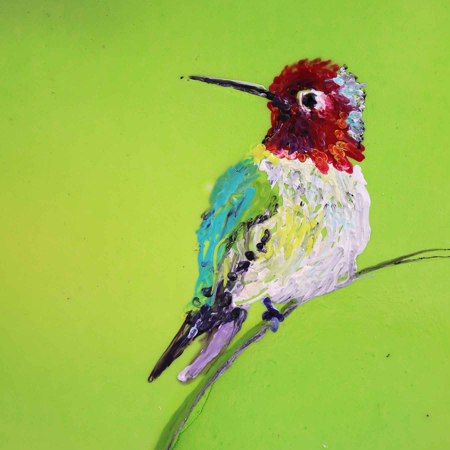 Ruby-throated Hummingbird, 6X6