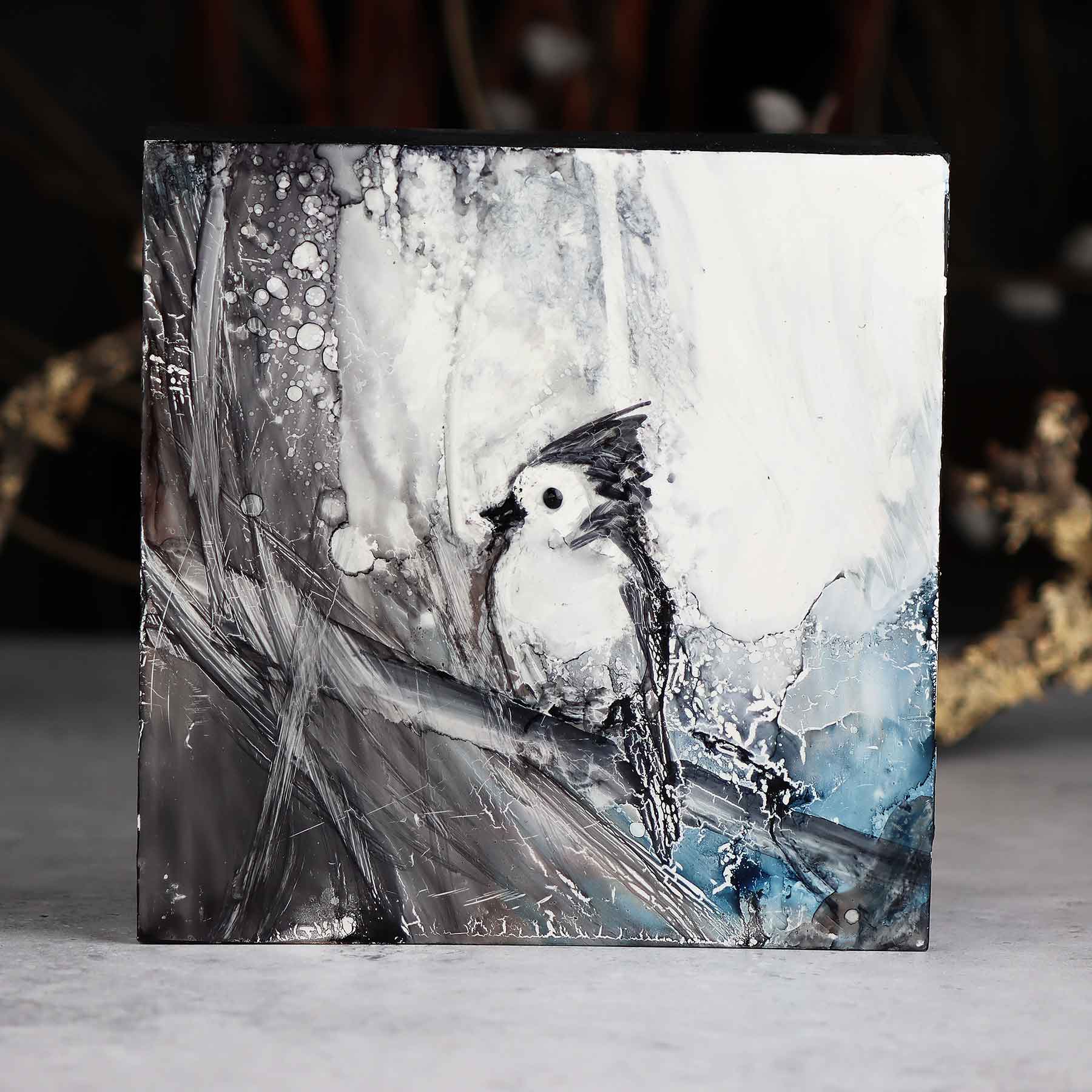 Titmouse, 6X6