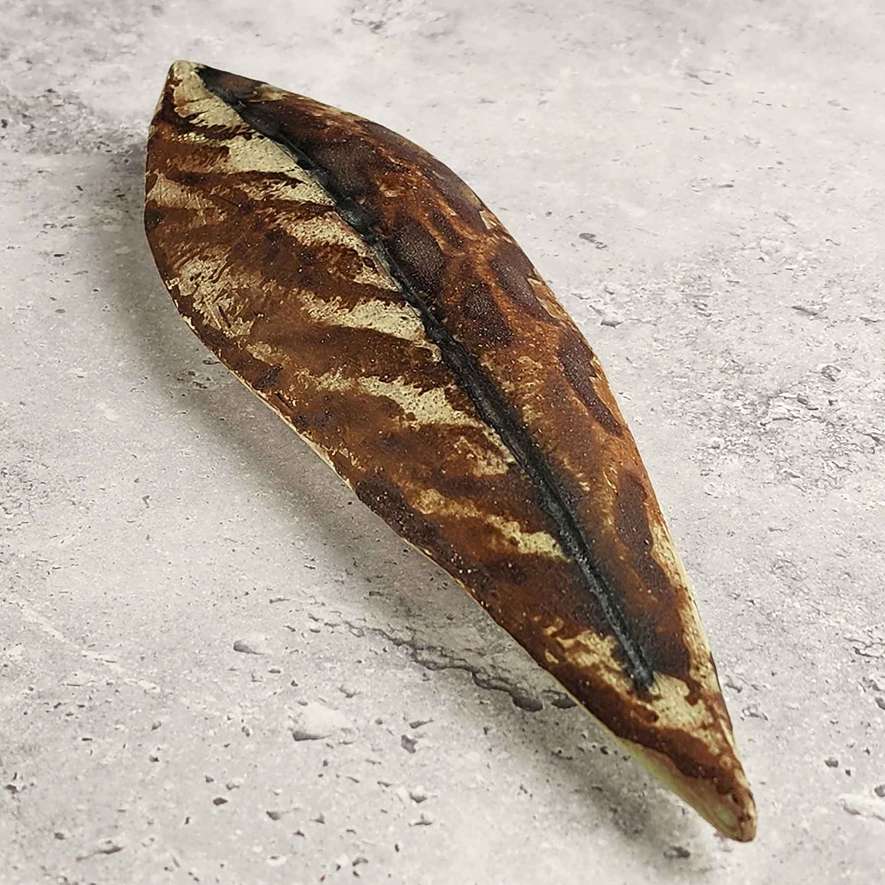 Rhododendren Leaf