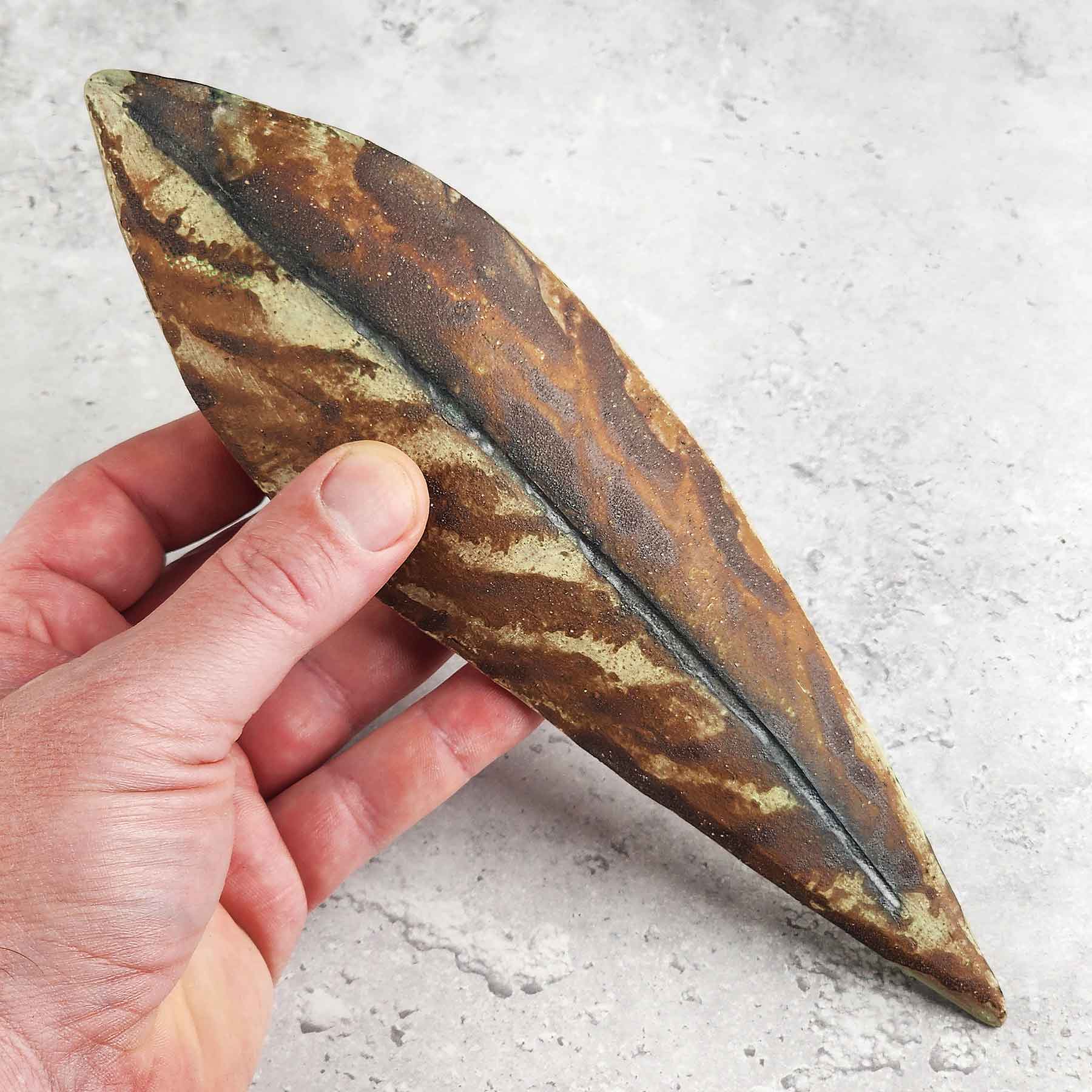 Rhododendren Leaf