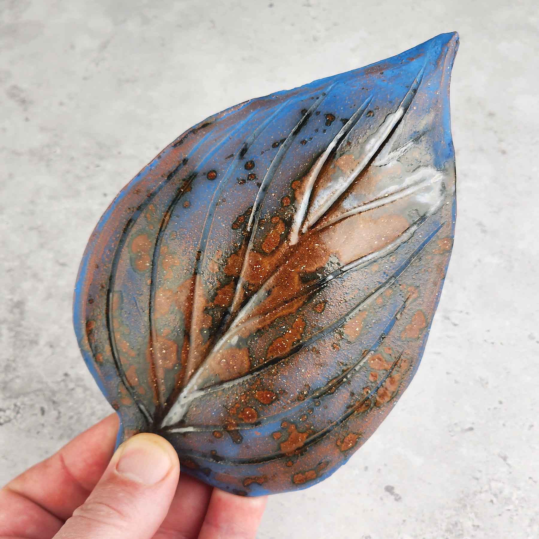Hosta Leaf