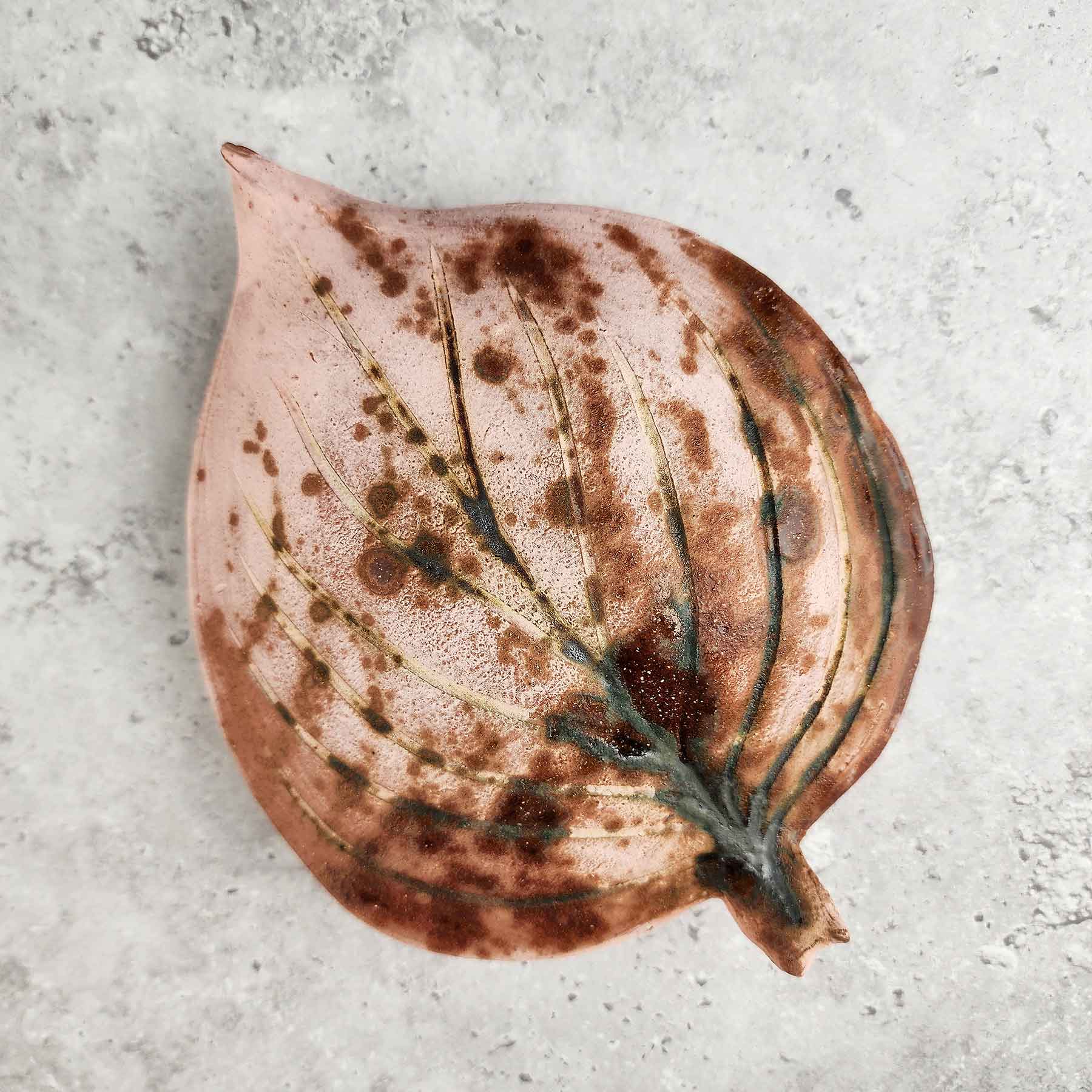 Round Hosta Leaf