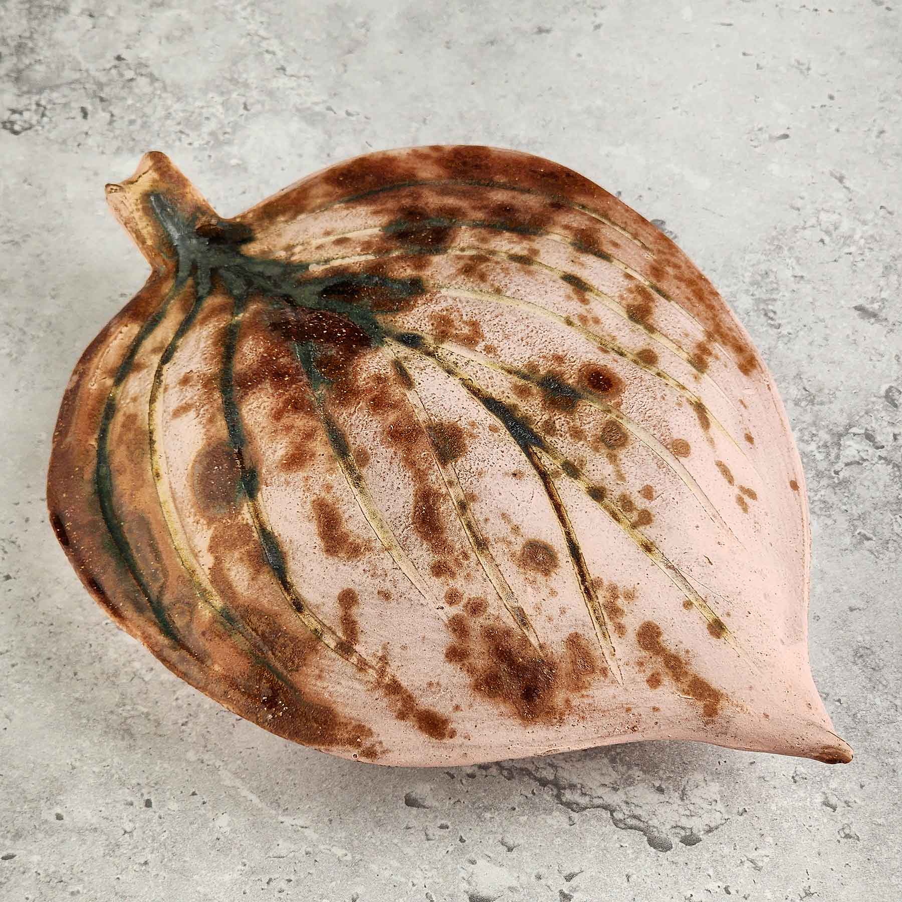 Round Hosta Leaf