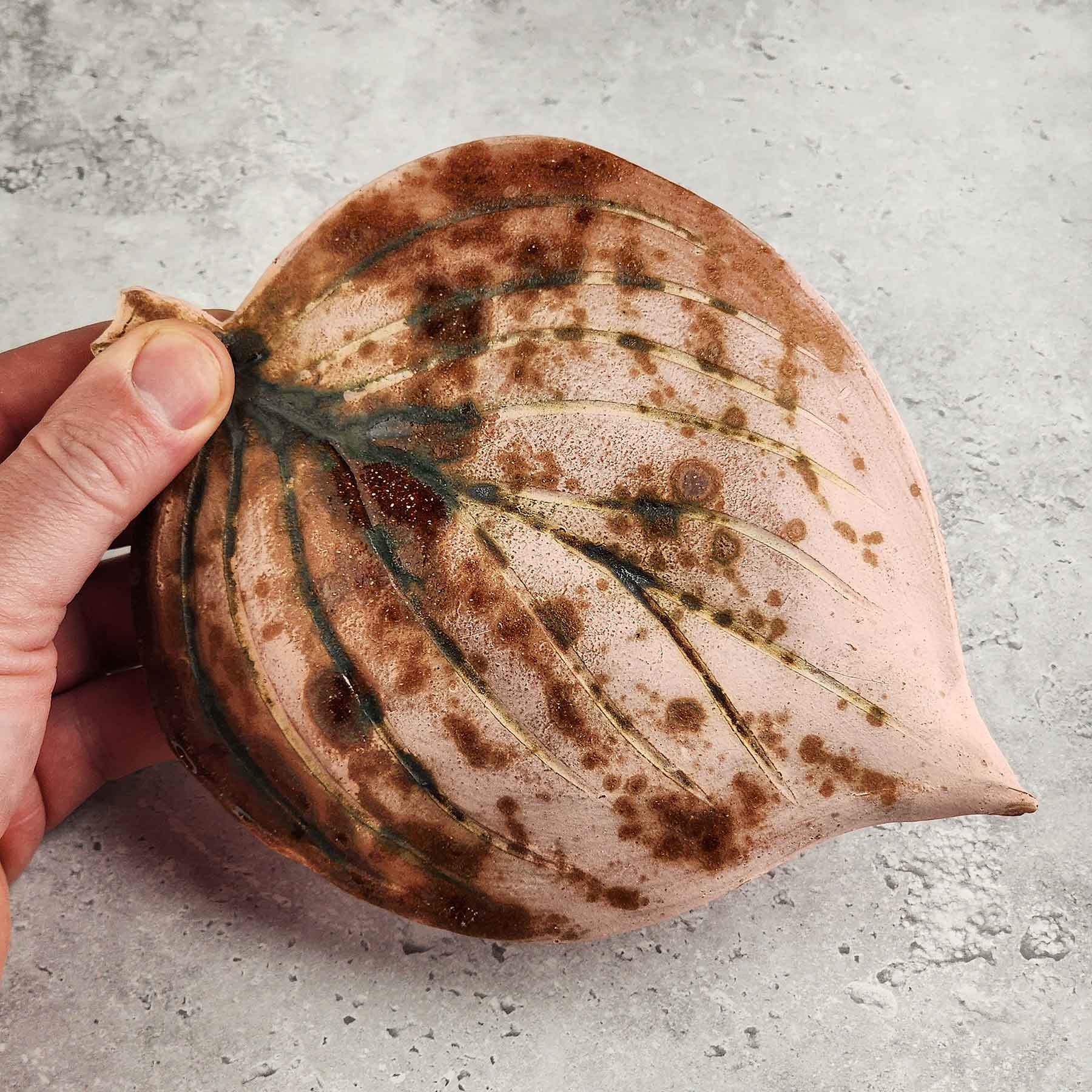 Round Hosta Leaf