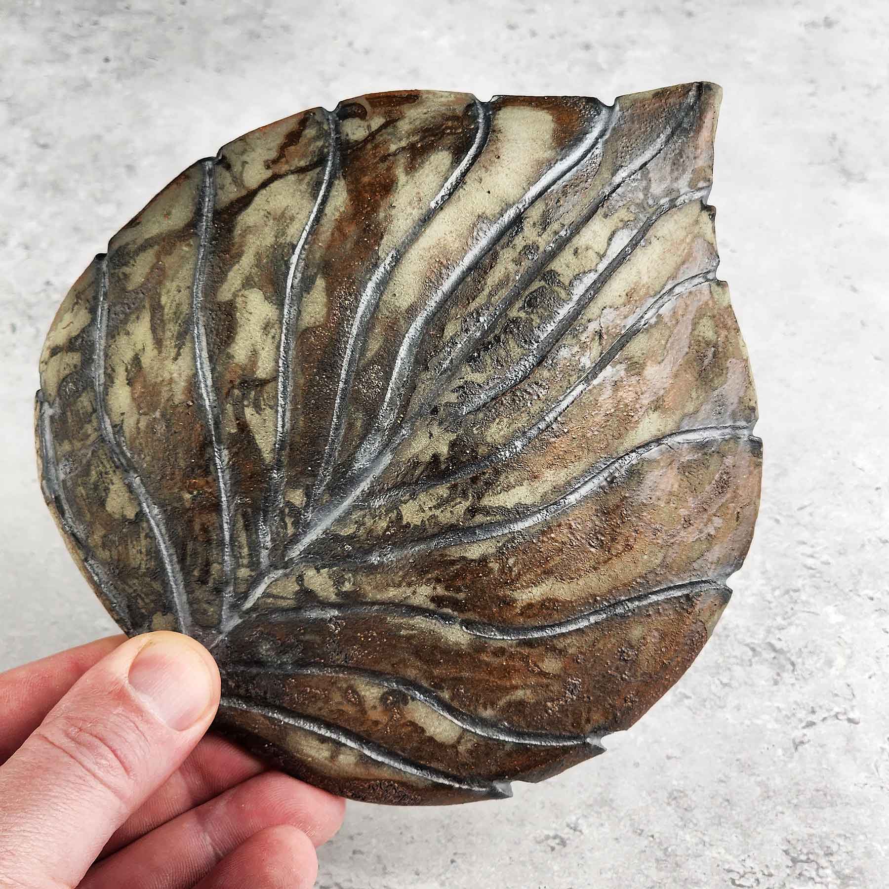 Round Hosta Leaf