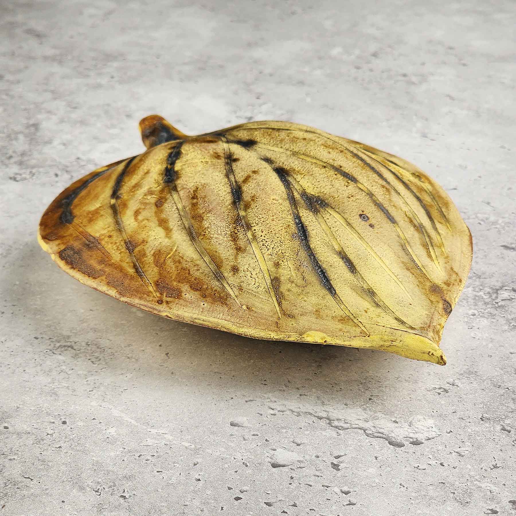 Round Hosta Leaf