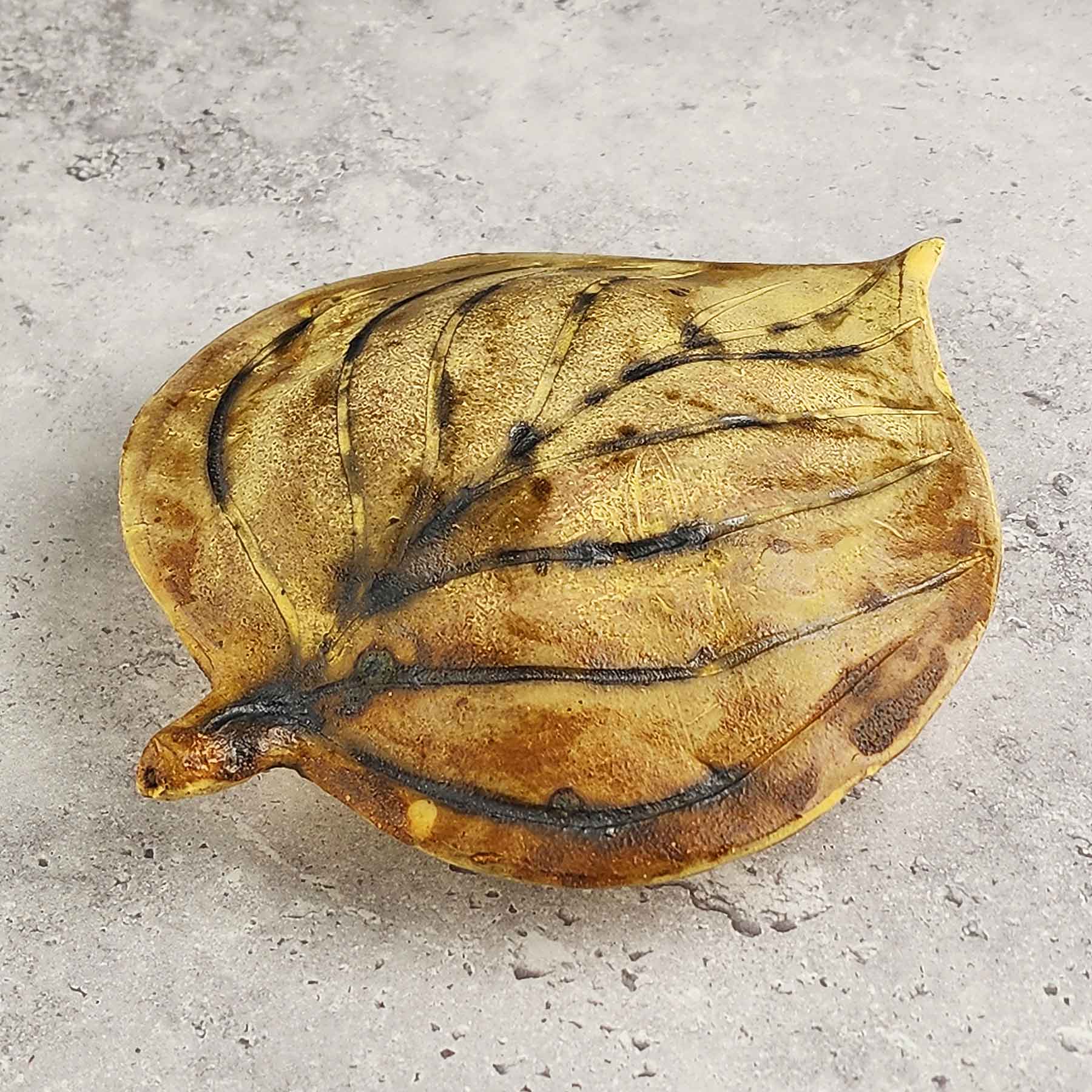 Round Hosta Leaf