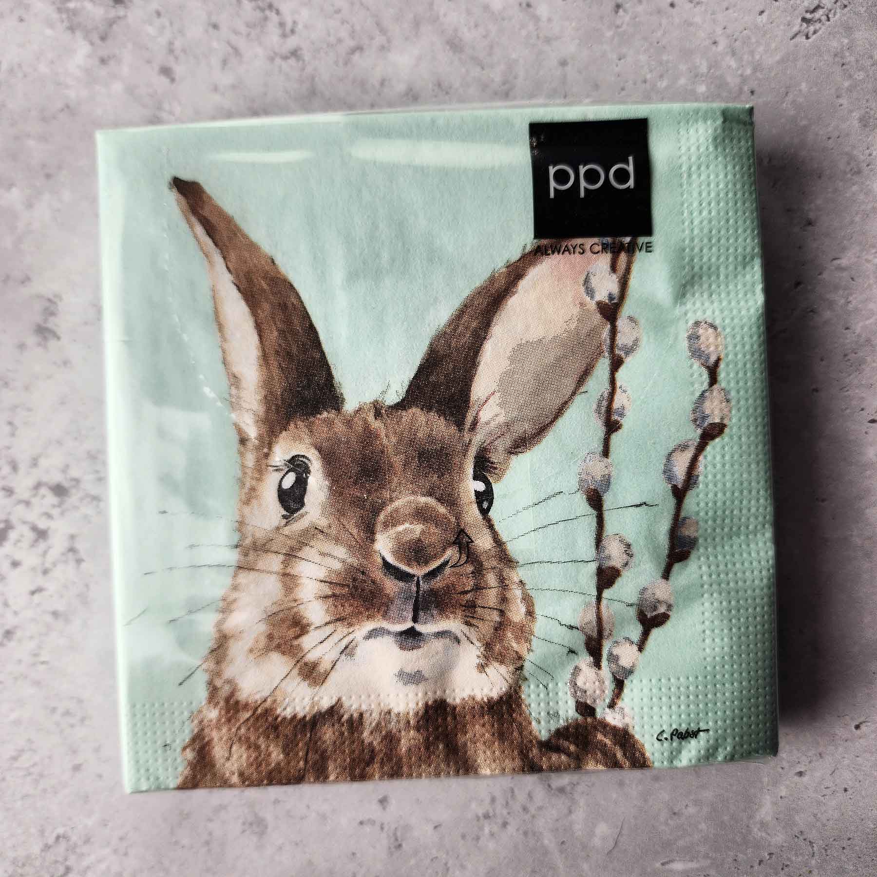 Beverage Napkin - Fred