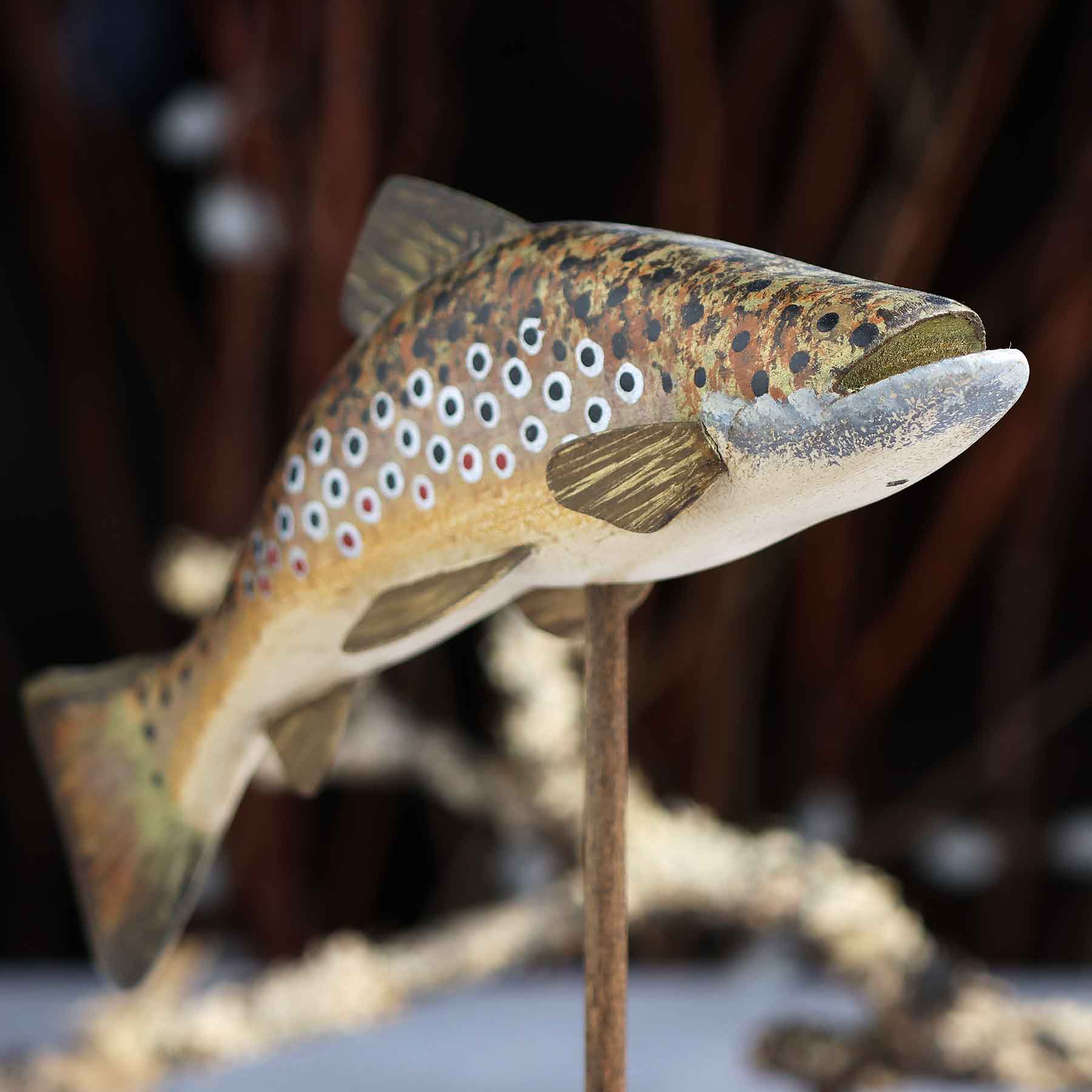 Brook Trout With Fins