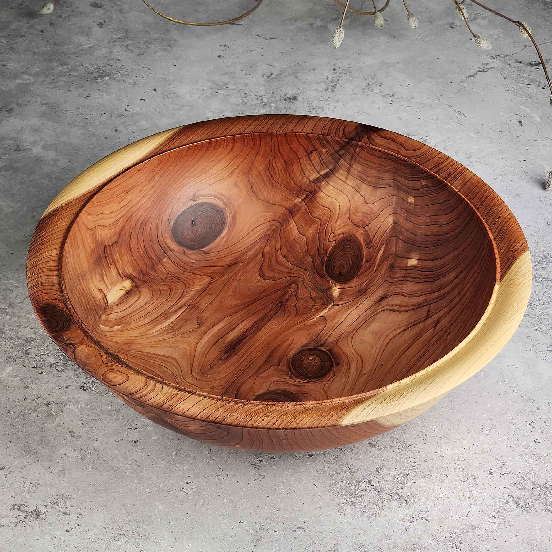 Cedar 447