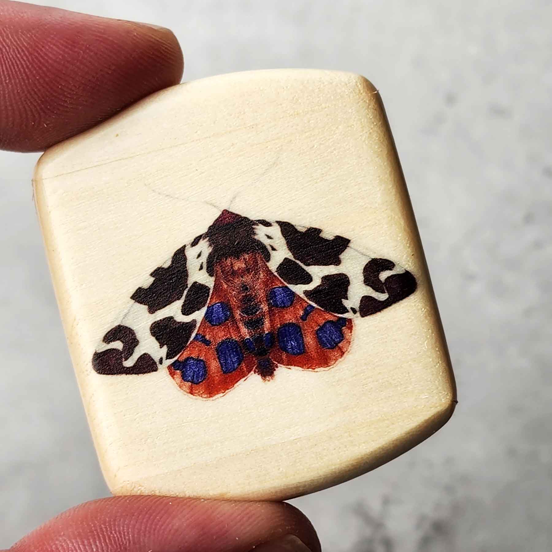 2" Flat Wide Aspen- Red Moth
