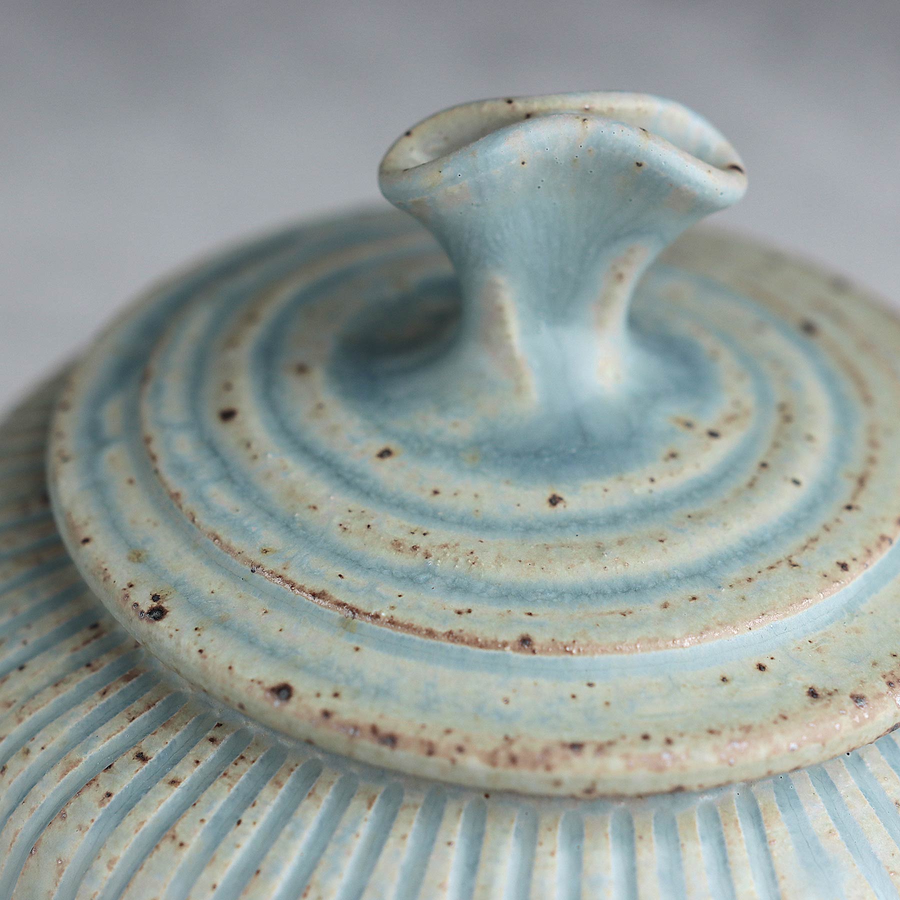 Small Fluted Belly Jar in Light Blue Ash