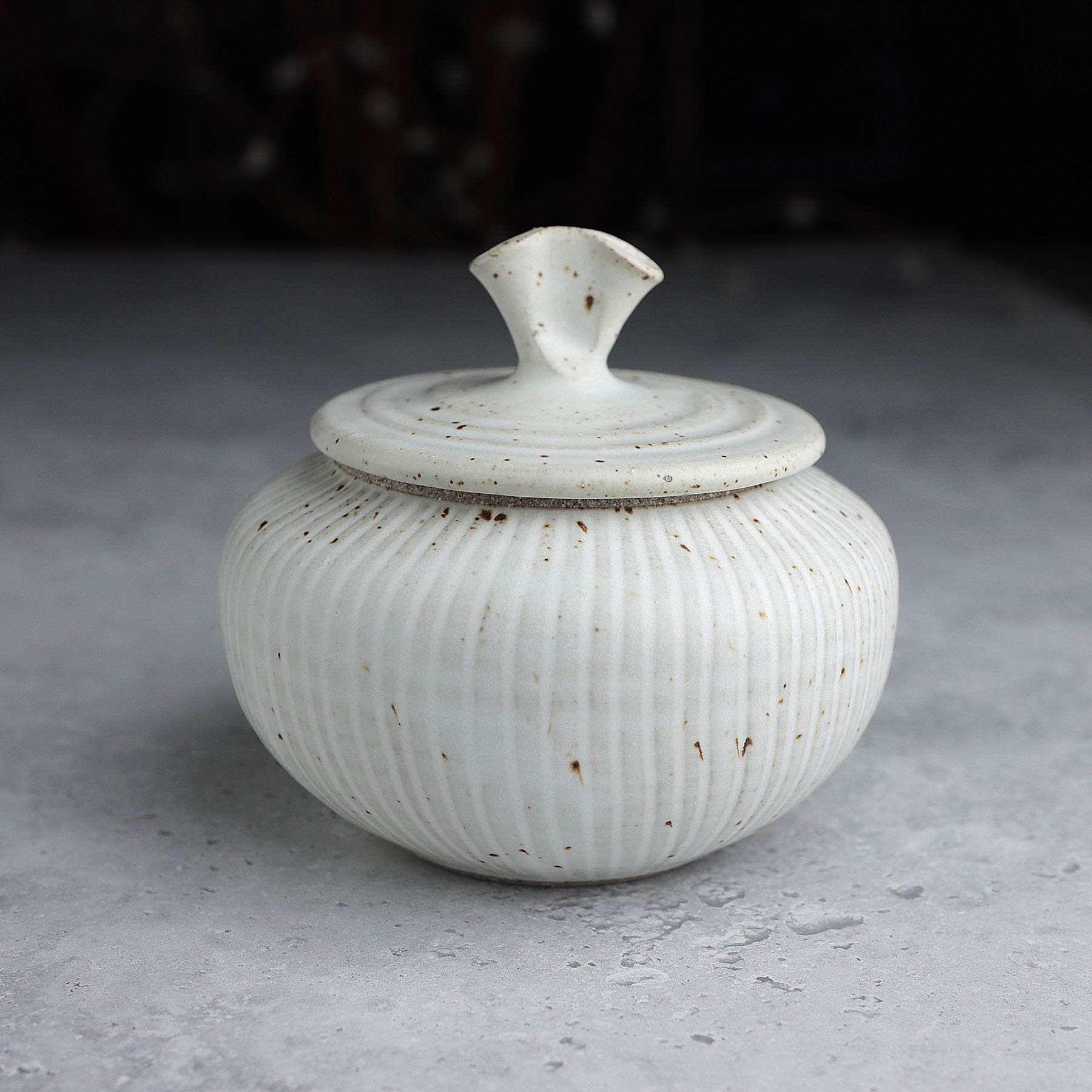 Small Fluted Belly Jar in Satin White