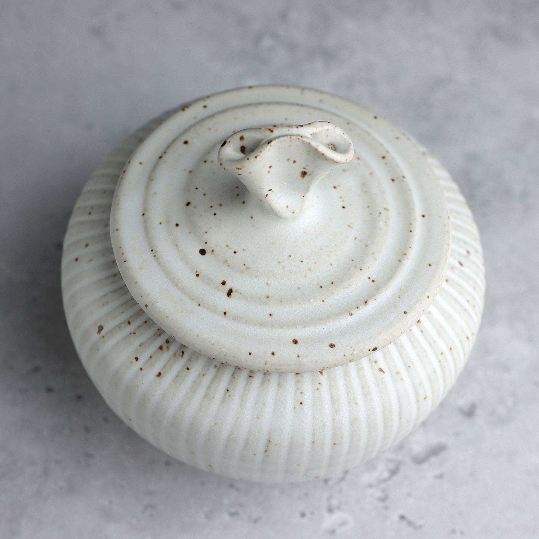 Small Fluted Belly Jar in Satin White