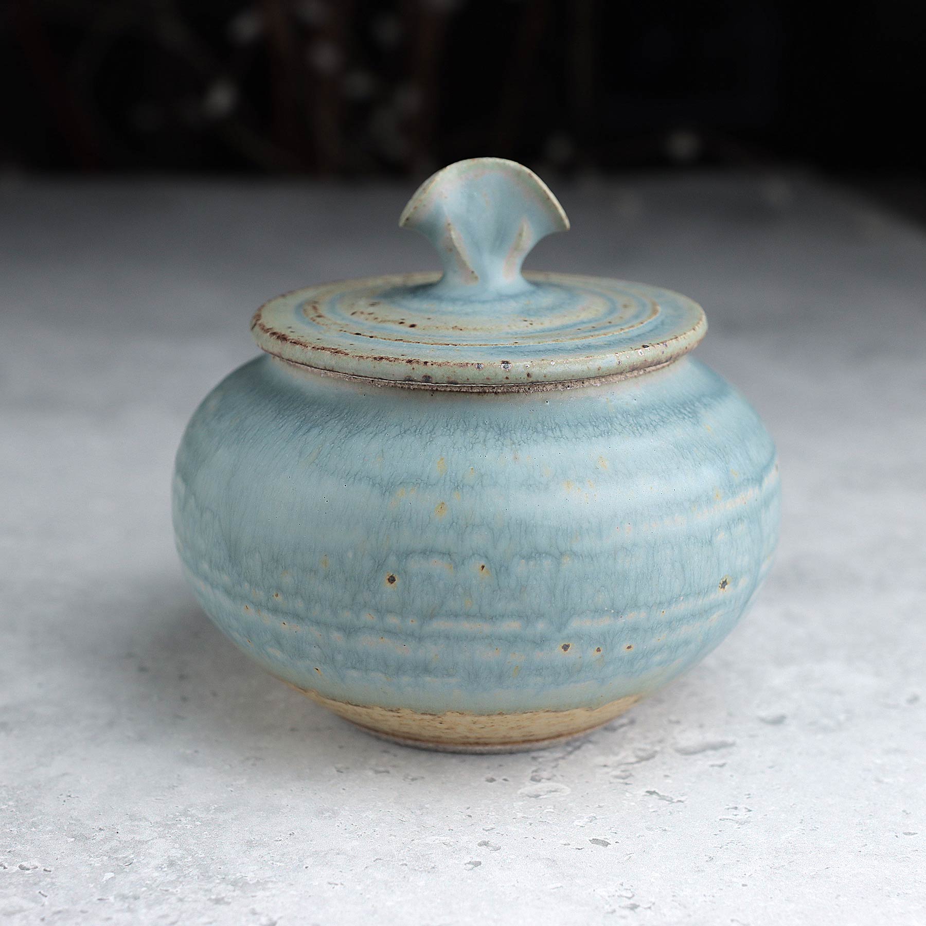 Small Belly Jar in Light Blue Ash