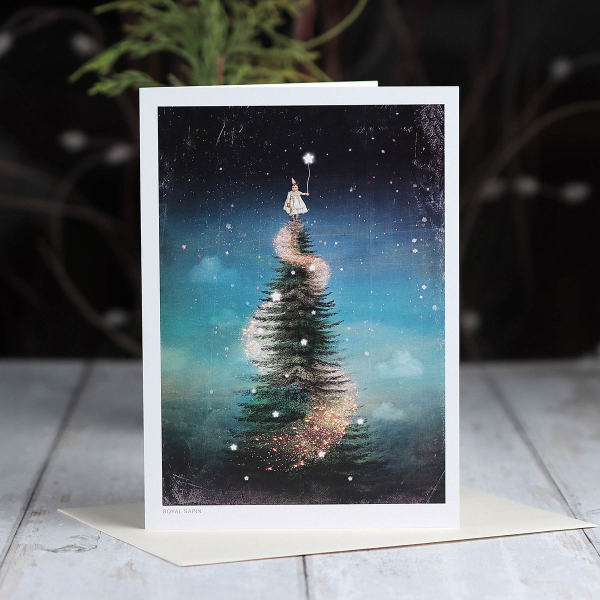 Royal Sapin, 5X7