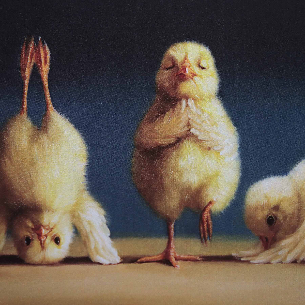 Yoga Chicks, 5X7