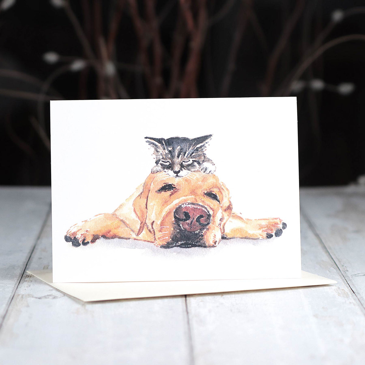 The Perfect Pillow, 5X7