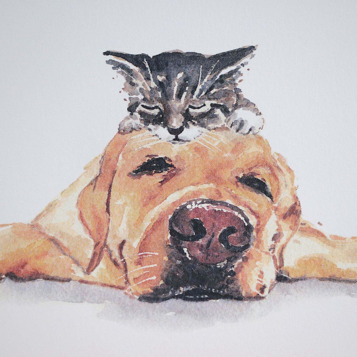 The Perfect Pillow, 5X7