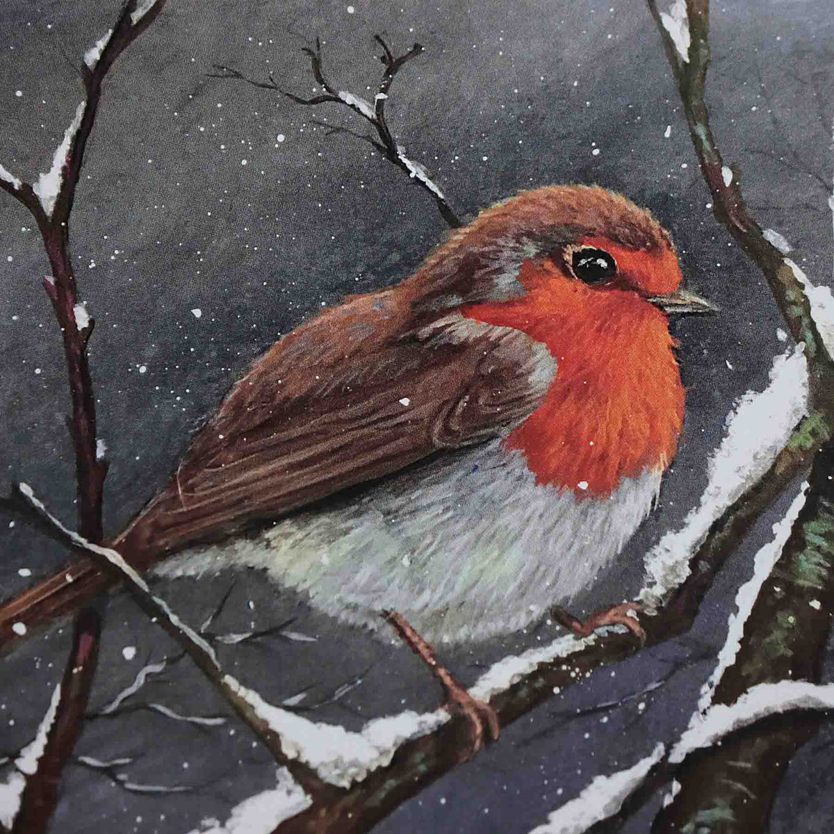 Snowy Branch, 5X7