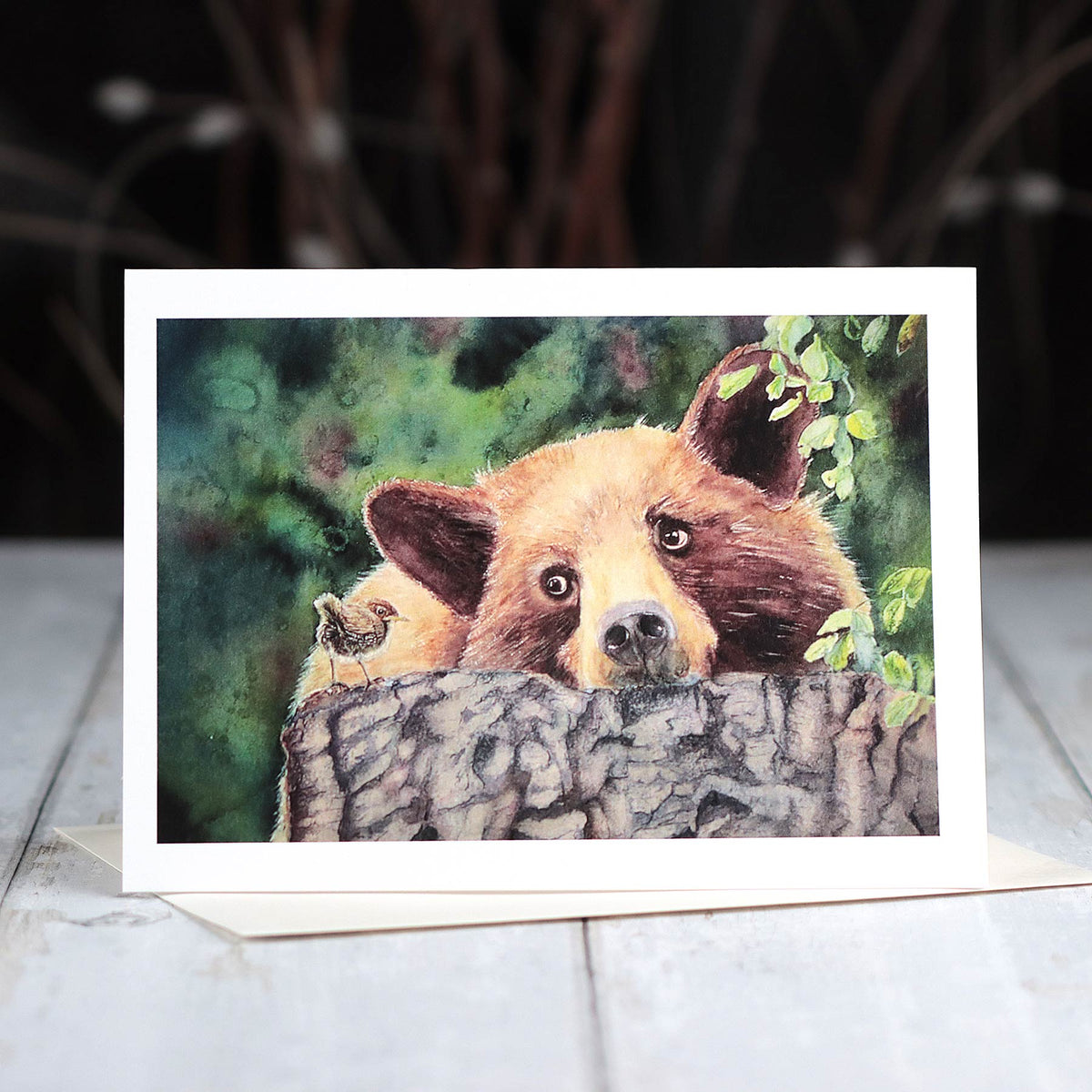 Curiosity, 5X7
