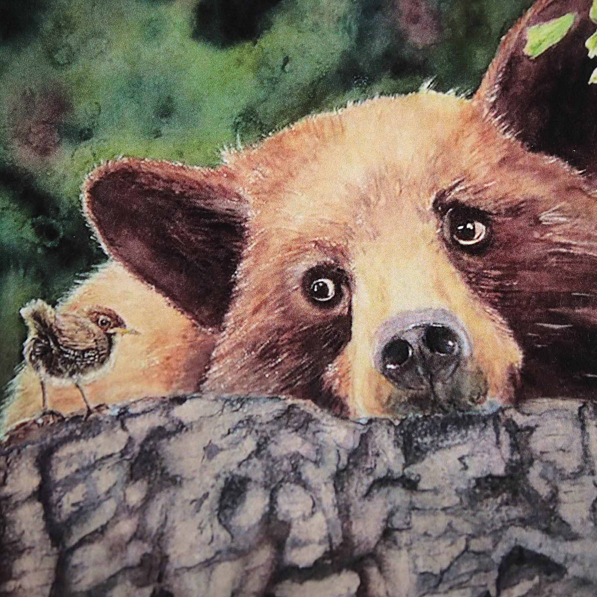 Curiosity, 5X7